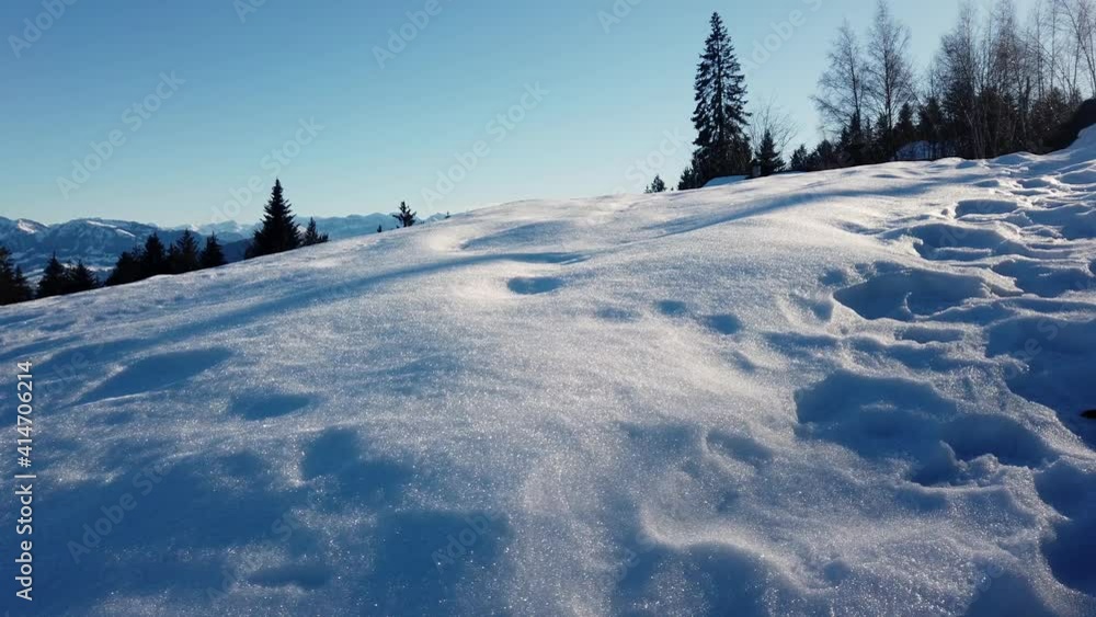 A hill of snow during sunny day with pine trees an blue sky A hill of snow during sunny day with pine trees an blue sky