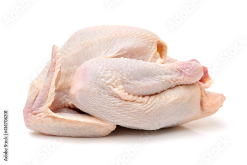 raw hen on a white background