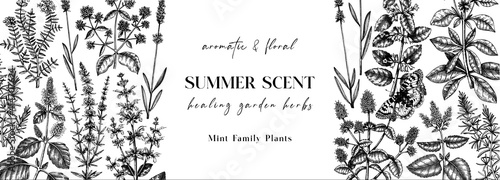 Hand sketched medicinal herbs banner design. Vector mint plants sketches. Vintage summer flowers template. Botanical background with mint family plants in engraved style.