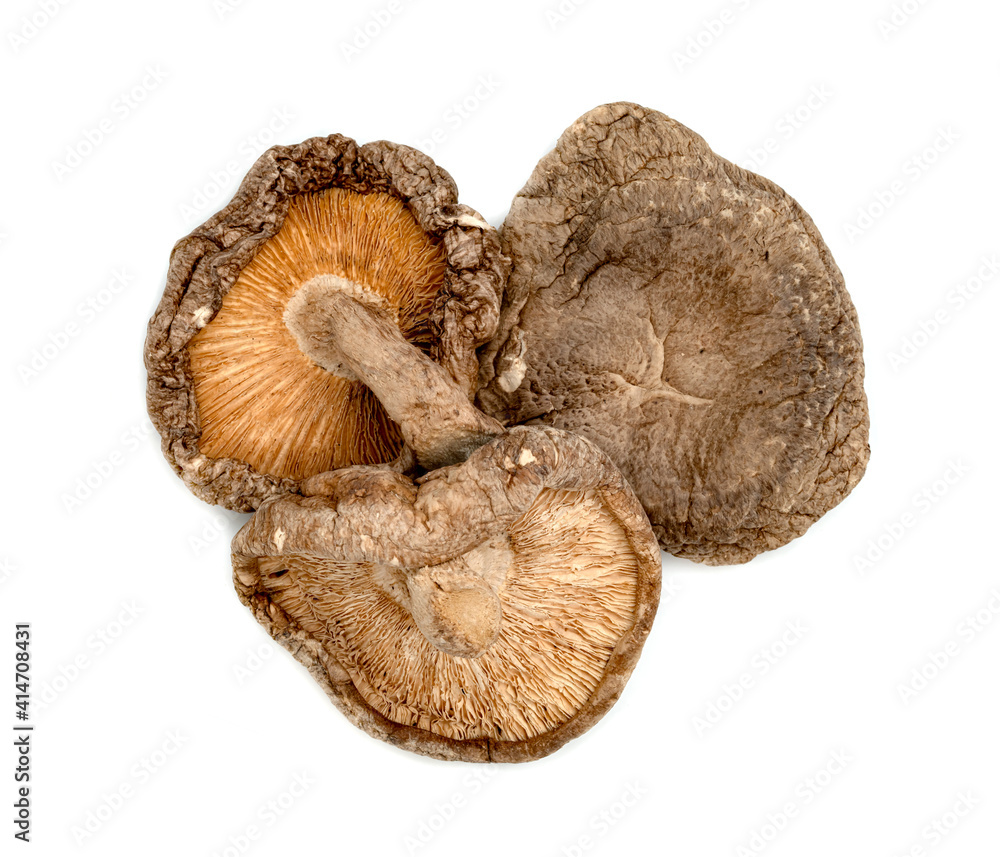 dry shiitake mushrooms isolated on white background dry shiitake mushrooms isolated on white background
