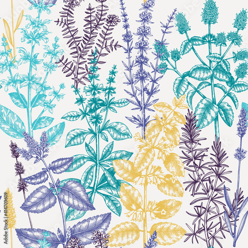 Mints and balms seamless pattern. Hand sketched aromatic and medicinal herbs background. Herbal tea ingredients. Mint plants for cosmetics, perfumery, textile, wrapping, packaging, fabric.