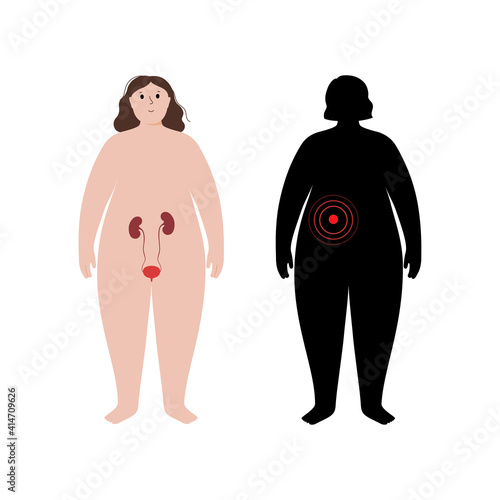 Organs in obese human body