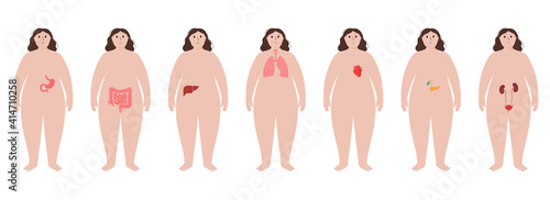 Organs in obese human body