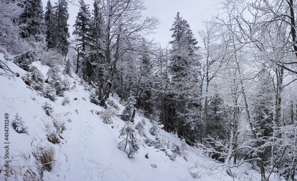 Winterwanderung auf den Friedenrath Winterwanderung auf den Friedenrath