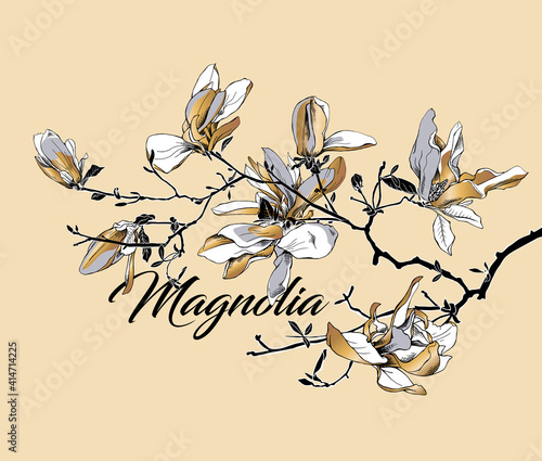 Floral composition. Branch gold Magnolia flowers on a light beige background. Hand drawn style print. Vector illustration.