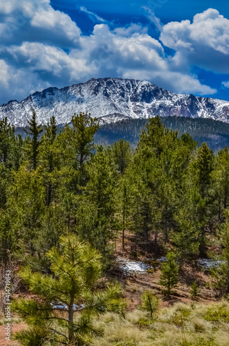 Mountain vegetation on the snow-covered slope of the Pikes Peak mountains, Colorado, US