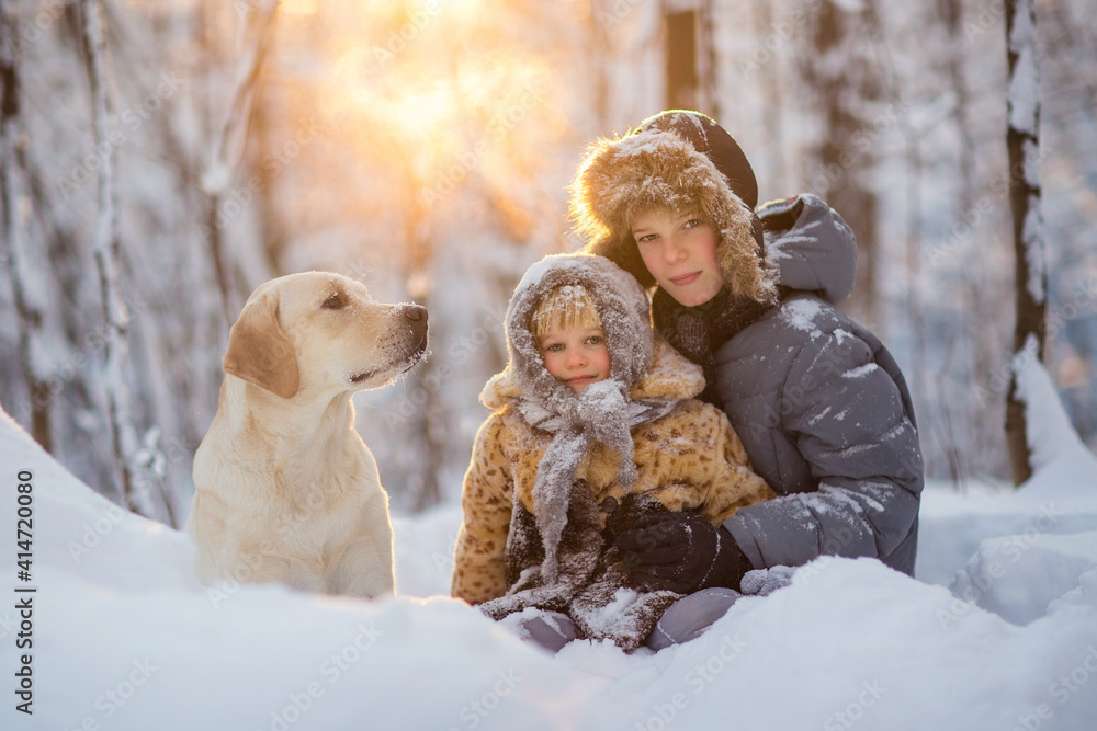 brother and sister play in the snow in winter Stock Photo | Adobe Stock