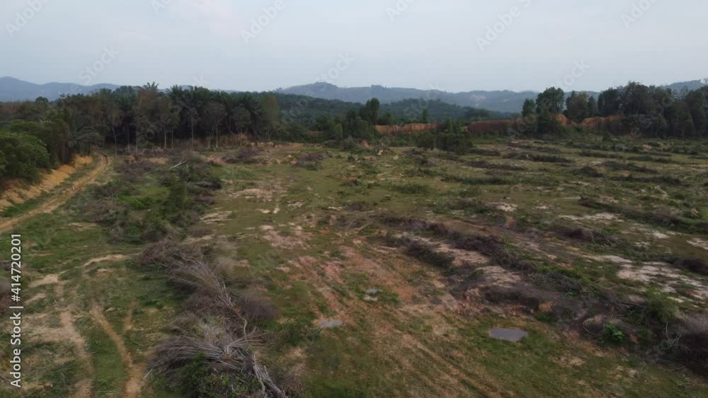 Drone view dry dead tree is clear for development Drone view dry dead tree is clear for development