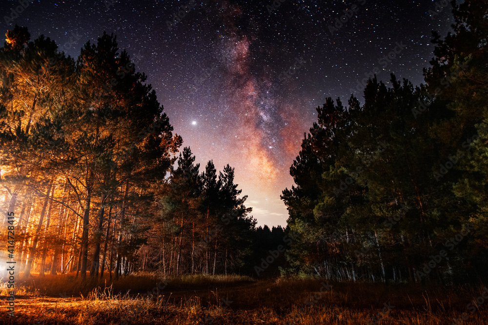 Night landscape, beautiful starry night in the spruce forest and bright milky way galaxy. 
