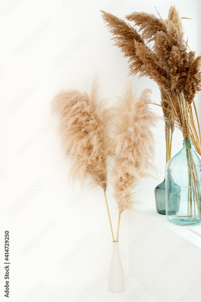 Plakat White beige minimal decorated bedroom in Scandinavian and Boho style. Pampas grass in bouquets, copy space for your text, trendy stylish interior design, neutral color, monochrome