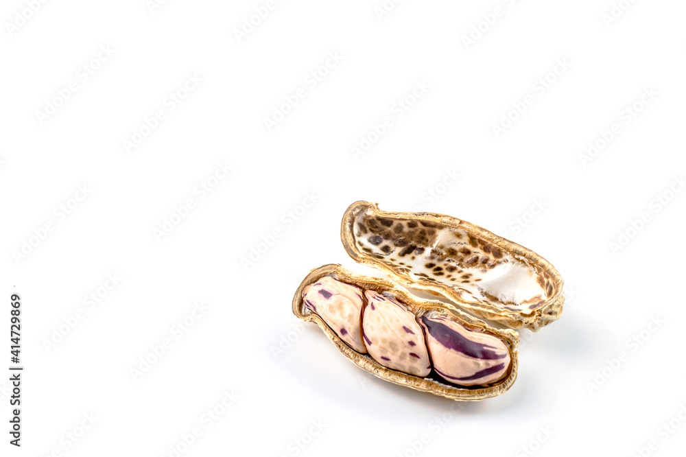 peanut, dried groundnuts, monkey nut on white background peanut, dried groundnuts, monkey nut on white background