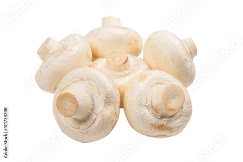 Champignon mushroom isolated on white background.