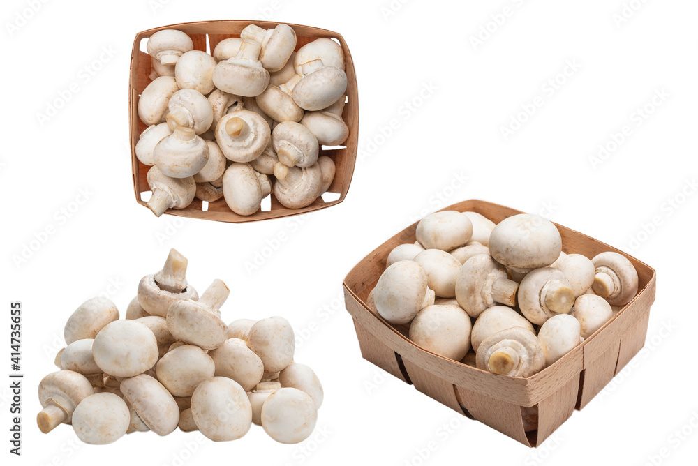 Champignon mushroom isolated on white background. Champignon mushroom isolated on white background.