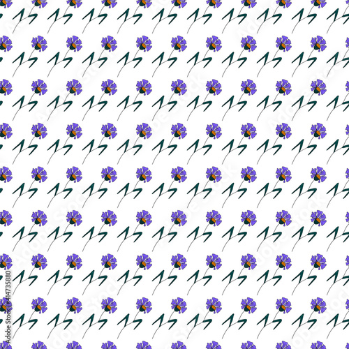 Fototapeta Naklejka Na Ścianę i Meble -  Cornflower flowers pattern. Idea for decors, celebrations,  ornaments, wallpapers, pictures. Isolated vector illustration with white background. 