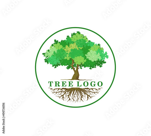  tree logo design with circular frame. Tree logo isolated on white background
