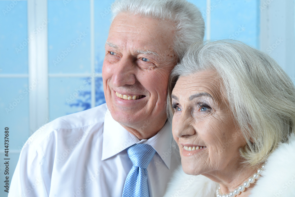 Portrait of happy senior couple on Christmas at home Portrait of happy senior couple on Christmas at home