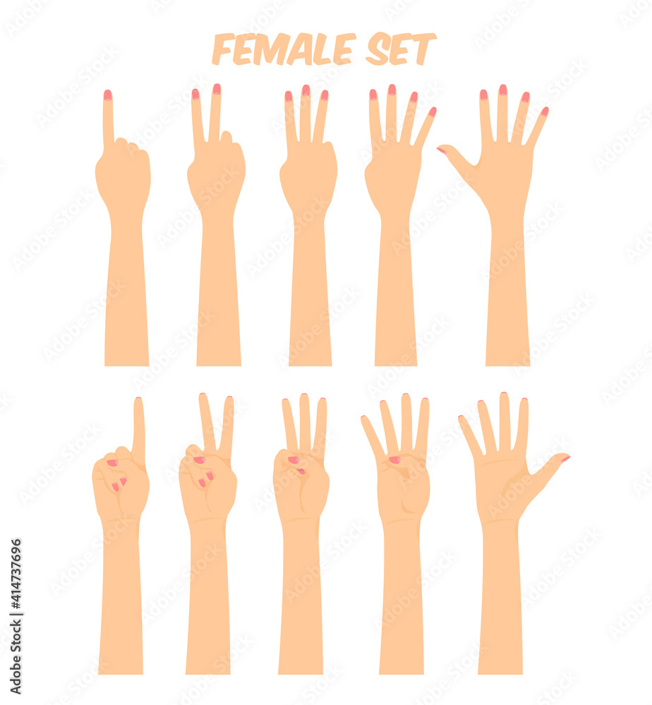 women's hands composing different gestures, showing various finger combinations, vector illustration women's hands composing different gestures, showing various finger combinations, vector illustration