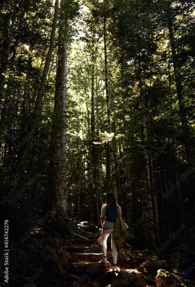 Fototapeta premium person in the woods