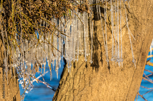 Light reflected through icicles at a river in winter time