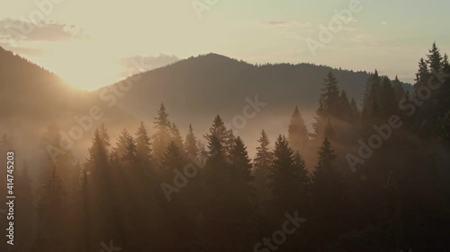 Aerial view of sunrise in the misty forest. Foggy golden sunset in mountains. Flying over green trees valley. Morning mist, country fields, sun rising above the horizon. Scenic nature landscape.