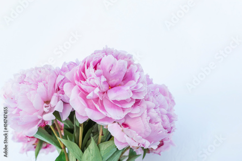 Fototapeta Naklejka Na Ścianę i Meble -  Bouquet of big pink peonies on white background, copyspace for text.  Layout for postcard, greeting concept. Woman's day, wedding, anniversary valentines day holidays.
