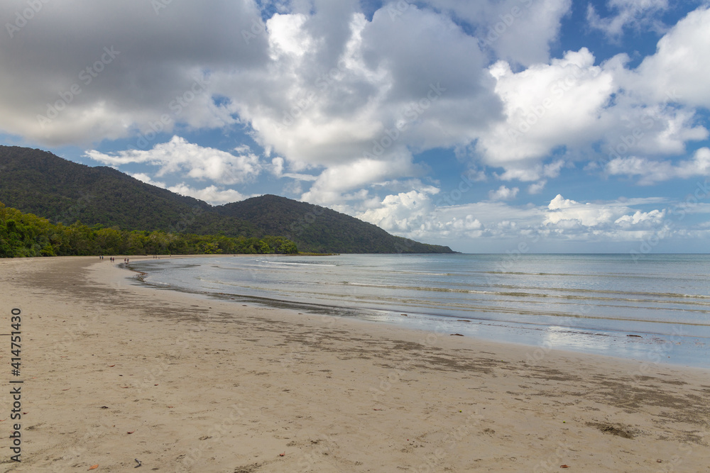A mangrove forest at Cape Tribulation in Queensland, Australia A mangrove forest at Cape Tribulation in Queensland, Australia