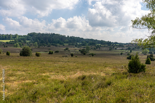 beautiful hillside landscape in the nature preservation area of the lueneburger heide © Alexander