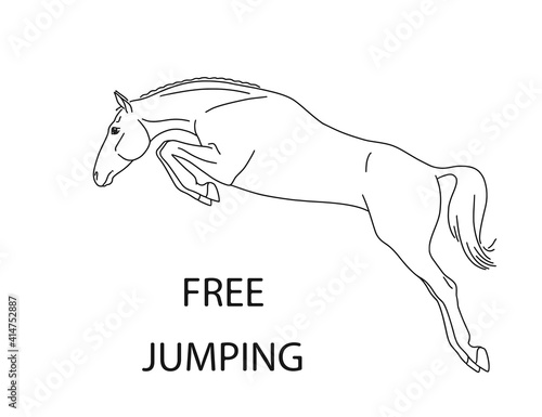 Perfect jump of a sport horse
