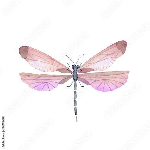 cute pink tropical dragonfly on white background close up, illustration watercolor hand painted