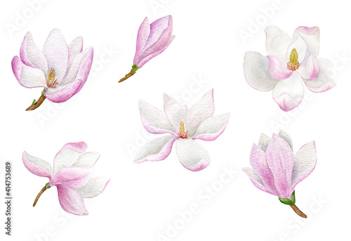 watercolor collection with pink magnolia