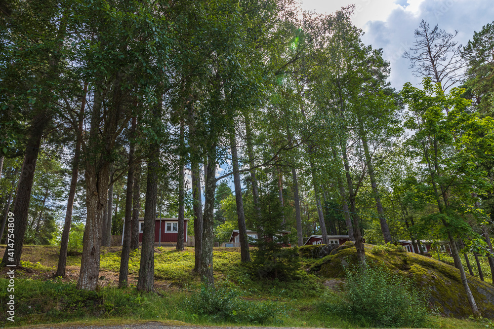 Obraz premium Beautiful nature landscape on sunny summer day. Small wooden private houses between tall green trees on blue sky background. Sweden.