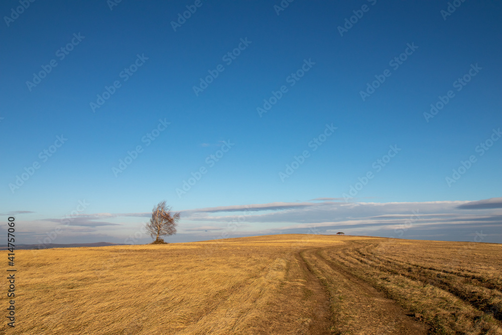 Obraz premium landscape with a field and sky