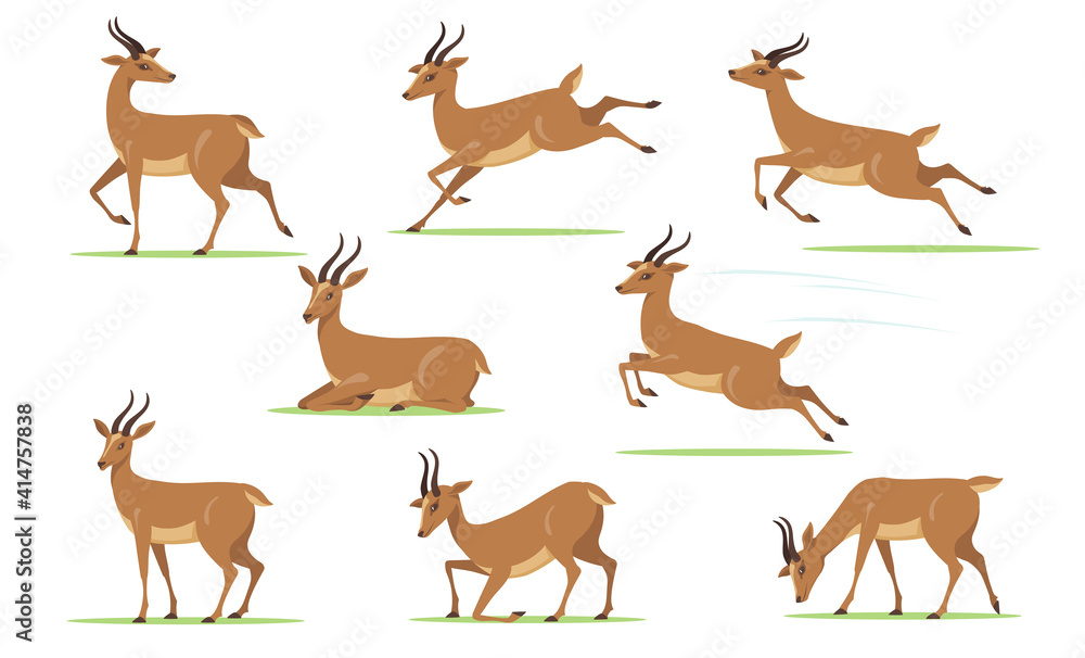 Cartoon gazelle set. African antelope walking, eating, running, jumping, resting on lawn in different poses isolated on white. Vector illustration for horny animal, wildlife, fauna concept - obrazy, fototapety, plakaty 