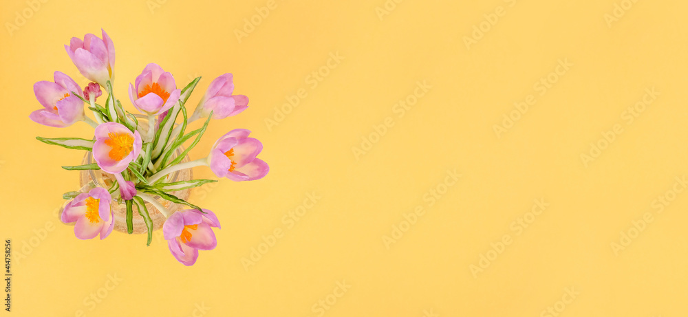 card background banner for spring holidays, bouquet of delicate lilac primroses on a yellow background, with copy space