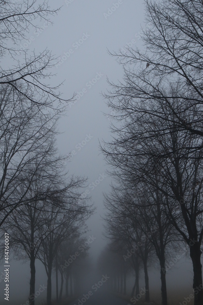 Winterbild Winterbild