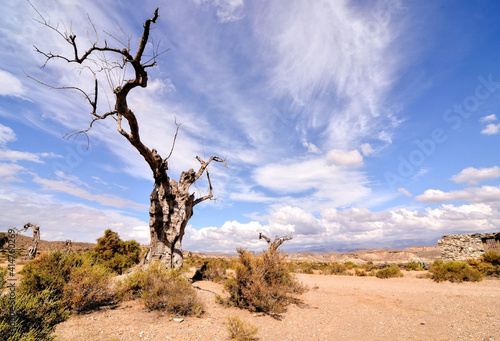 Desert Tabernas in Almeria Province Spain