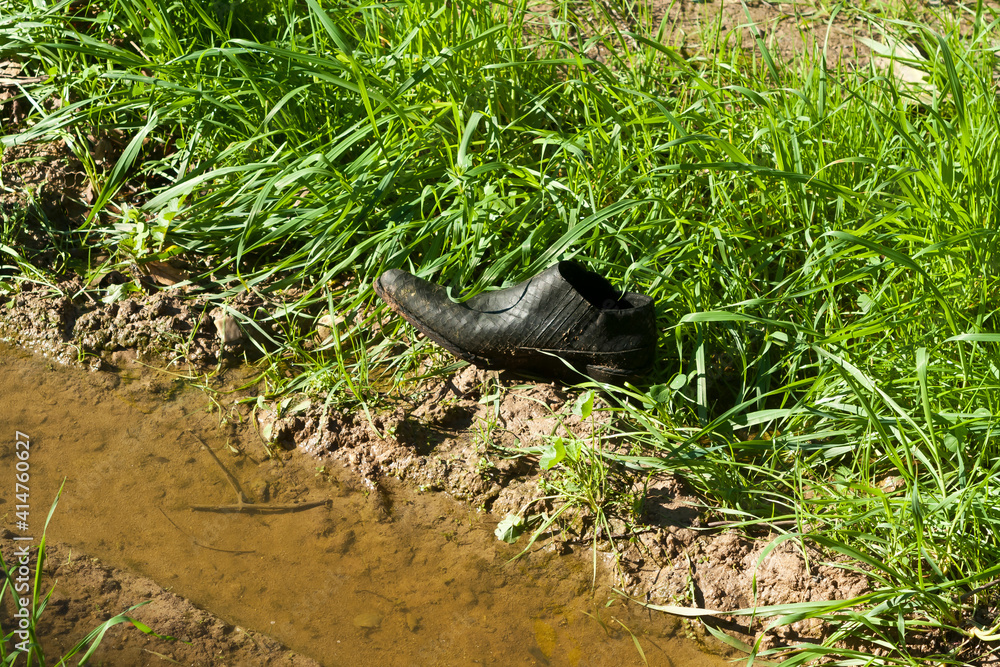 Obraz premium Black shoe among green grass and mud