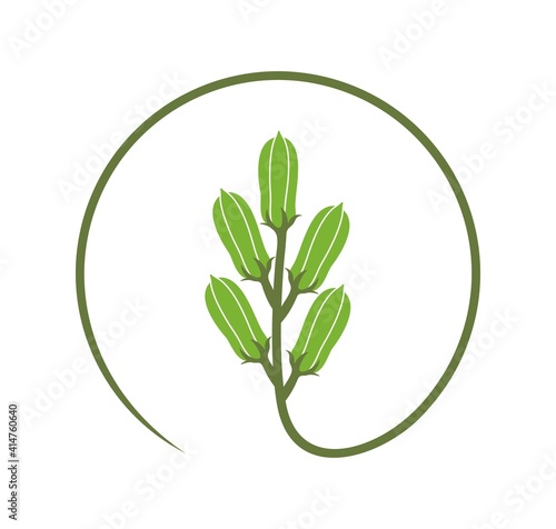Sesame logo. Isolated sesame on white background