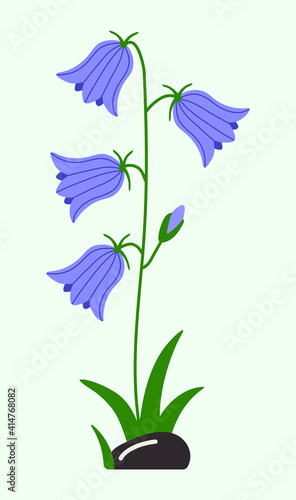 purple bluebell, spring motif in flat style