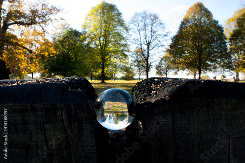 Lensball in the middle of cut tree trunk on a sunny day. photo