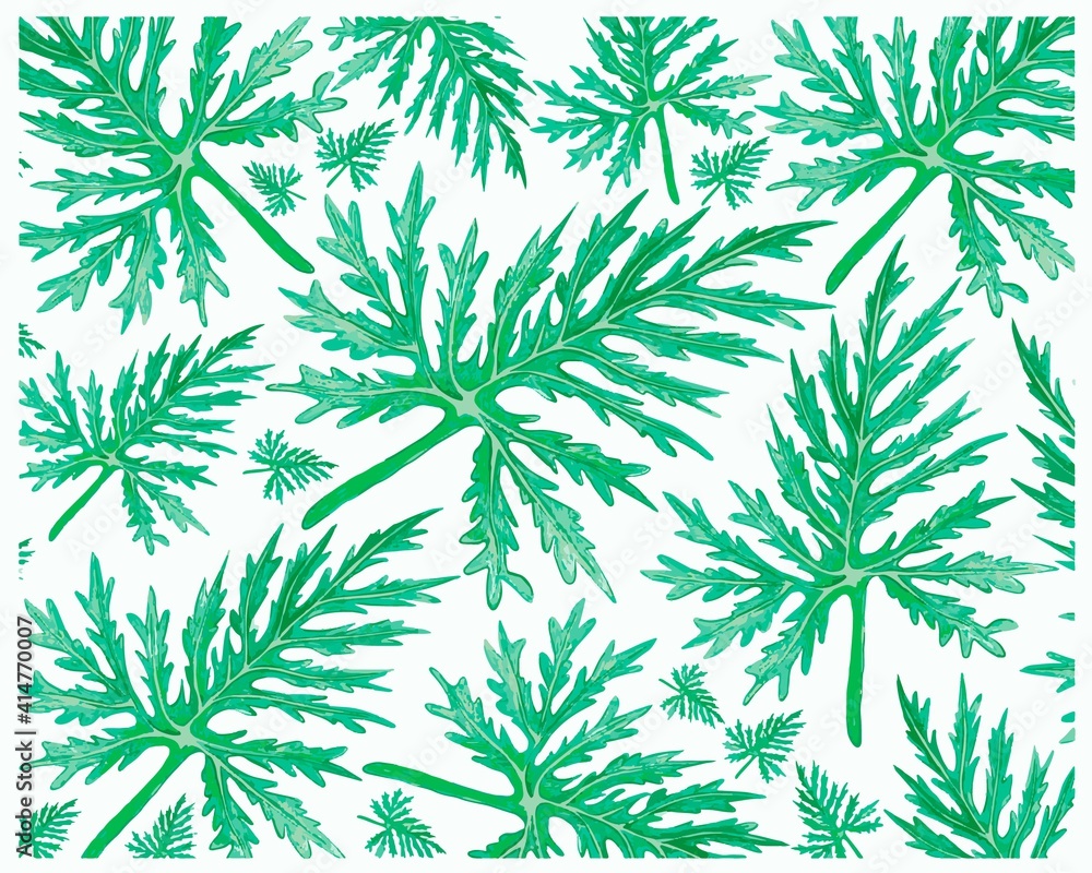 Ecological Concept, Illustration Background of Philodendron Selloum, Lacy Tree Philodendron or Horsehead Philodendron Leaves.
Ecological Concept, Illustration Background of Philodendron Selloum, Lacy Tree Philodendron or Horsehead Philodendron Leaves.