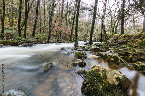 Rivière au cœur de La Fosse Arthour (Normandie, France) photo