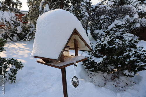 Fresh snow in winter in Germany photo