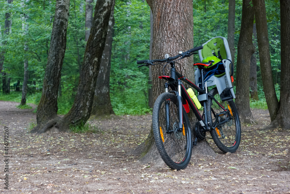 adult bicycle with child seat in the forest