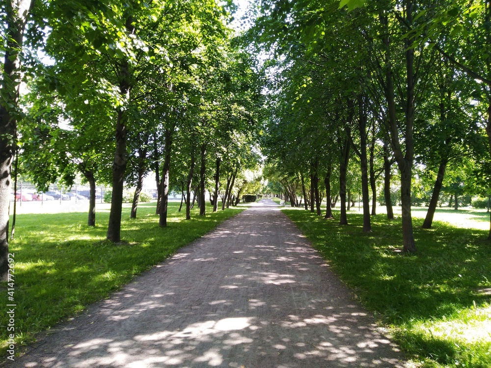 Long straight alley in the park in the sun and shade. The sandy road of the alley goes into the distance, under a light blue sky. Green trees, grass, bushes grow along the edges of the alley. The sun Long straight alley in the park in the sun and shade. The sandy road of the alley goes into the distance, under a light blue sky. Green trees, grass, bushes grow along the edges of the alley. The sun