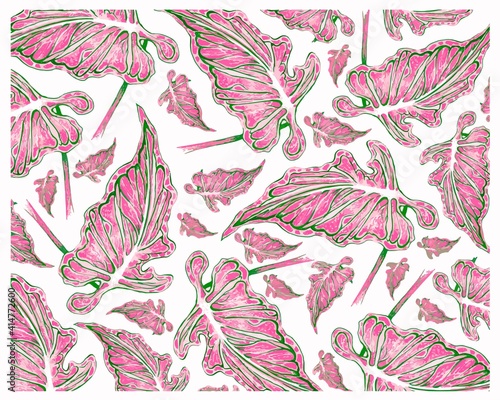 Ecological Concept, Illustration Background of Elephant Ear, Colocasia, Caladium, Heart of Jesus or Angel Wings Plants in A Garden.
