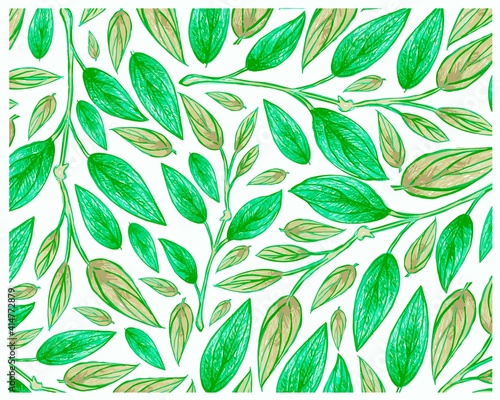 Ecology Concepts, Illustration Background of Green Leaf of Philodendron Melanochrysum Linden Plants.
