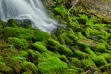 Long exposure flowing water on green moss rocks