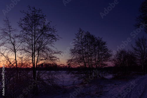 sunrise in the forest