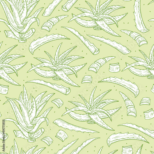 Hand drawn Aloe Vera plant leaves Seamless pattern. Medicinal plants Green background. Vector illustration
